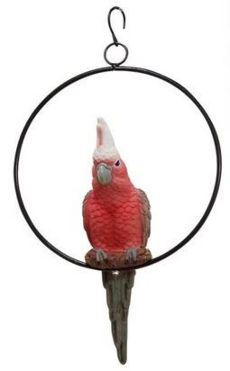 MM Assorted Cockatoo in Ring 26cm