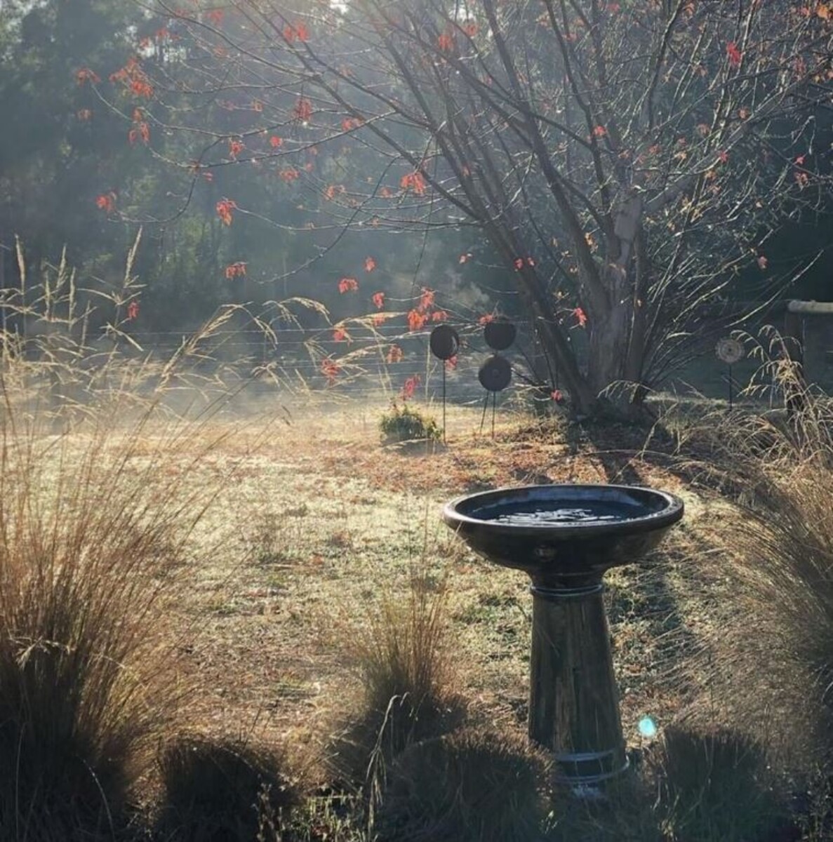 NC Grafton Birdbath - Red