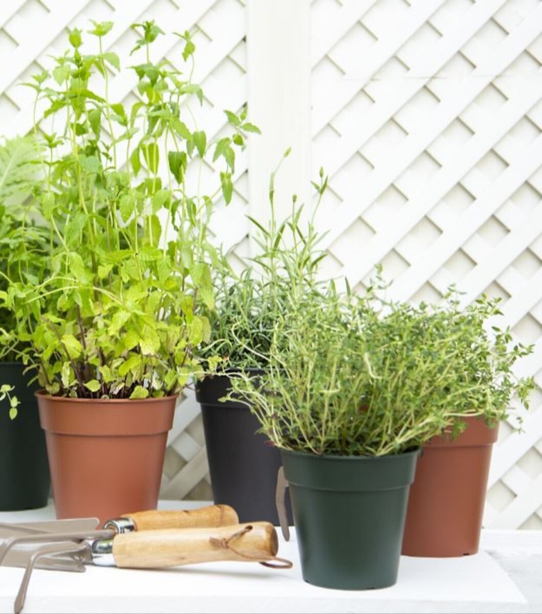 NC Madagascar Pot - Anthracite - 40cm