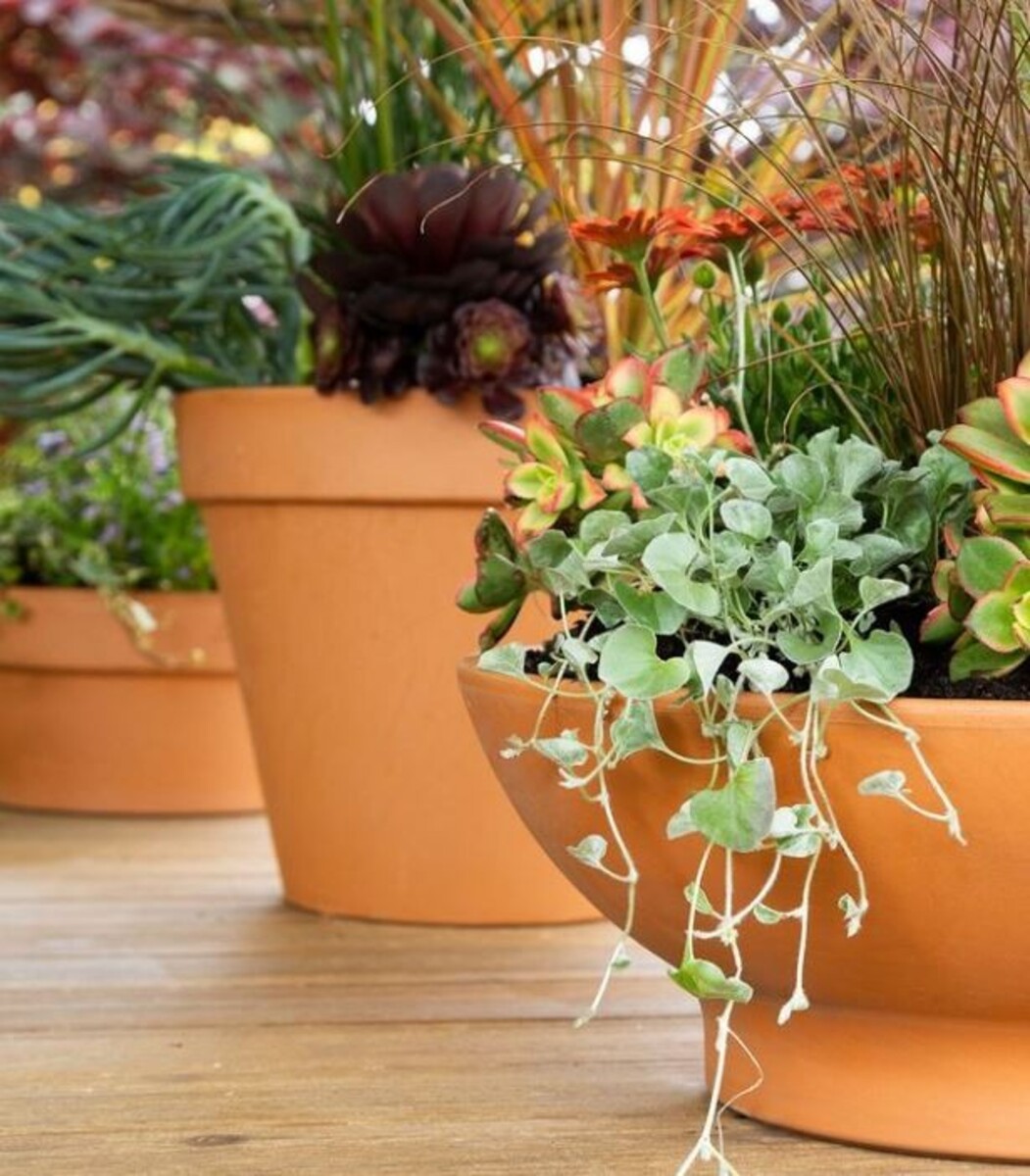NC Plain Terracotta Garden Pot - 23cm