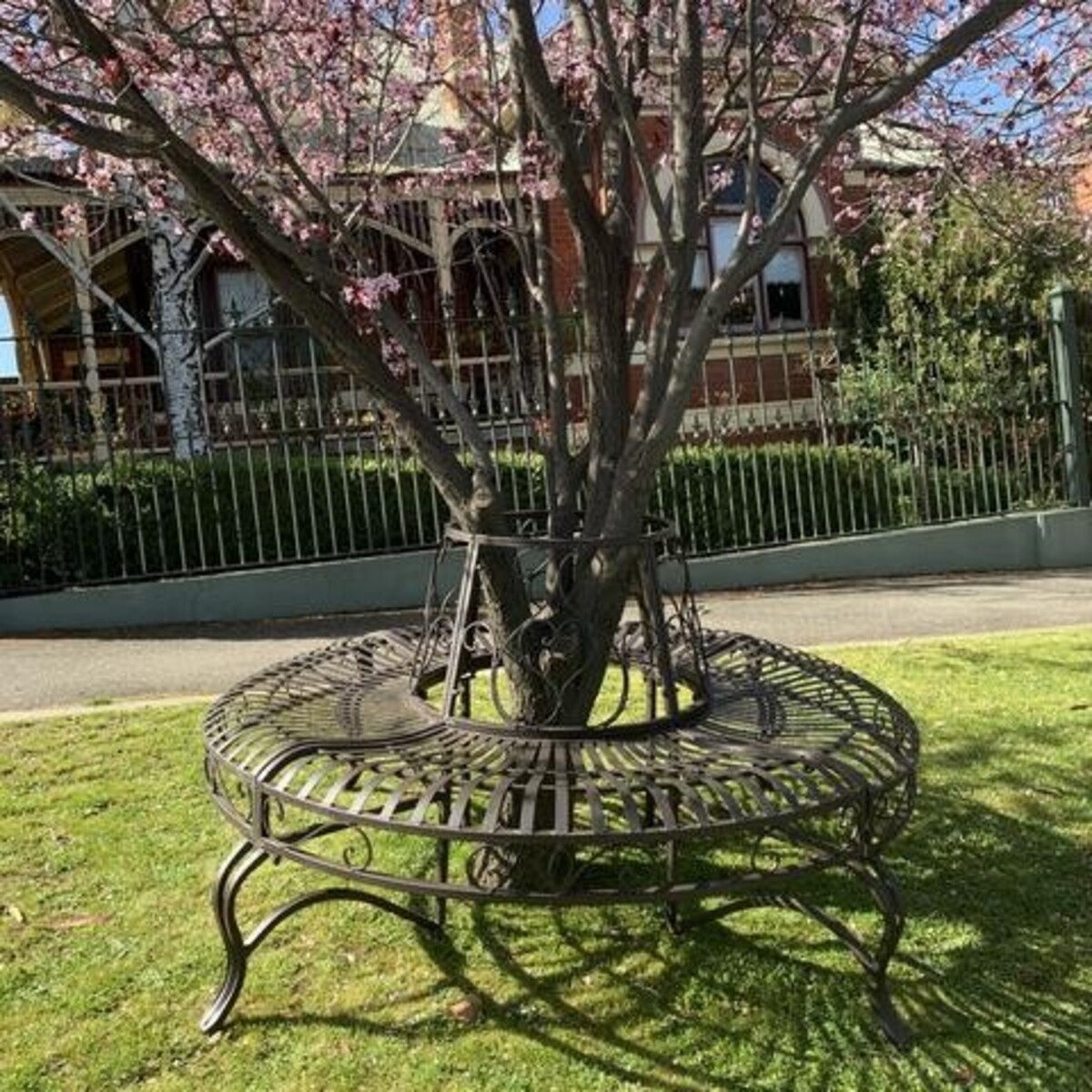 CL Tree Surround - Rustic Brown