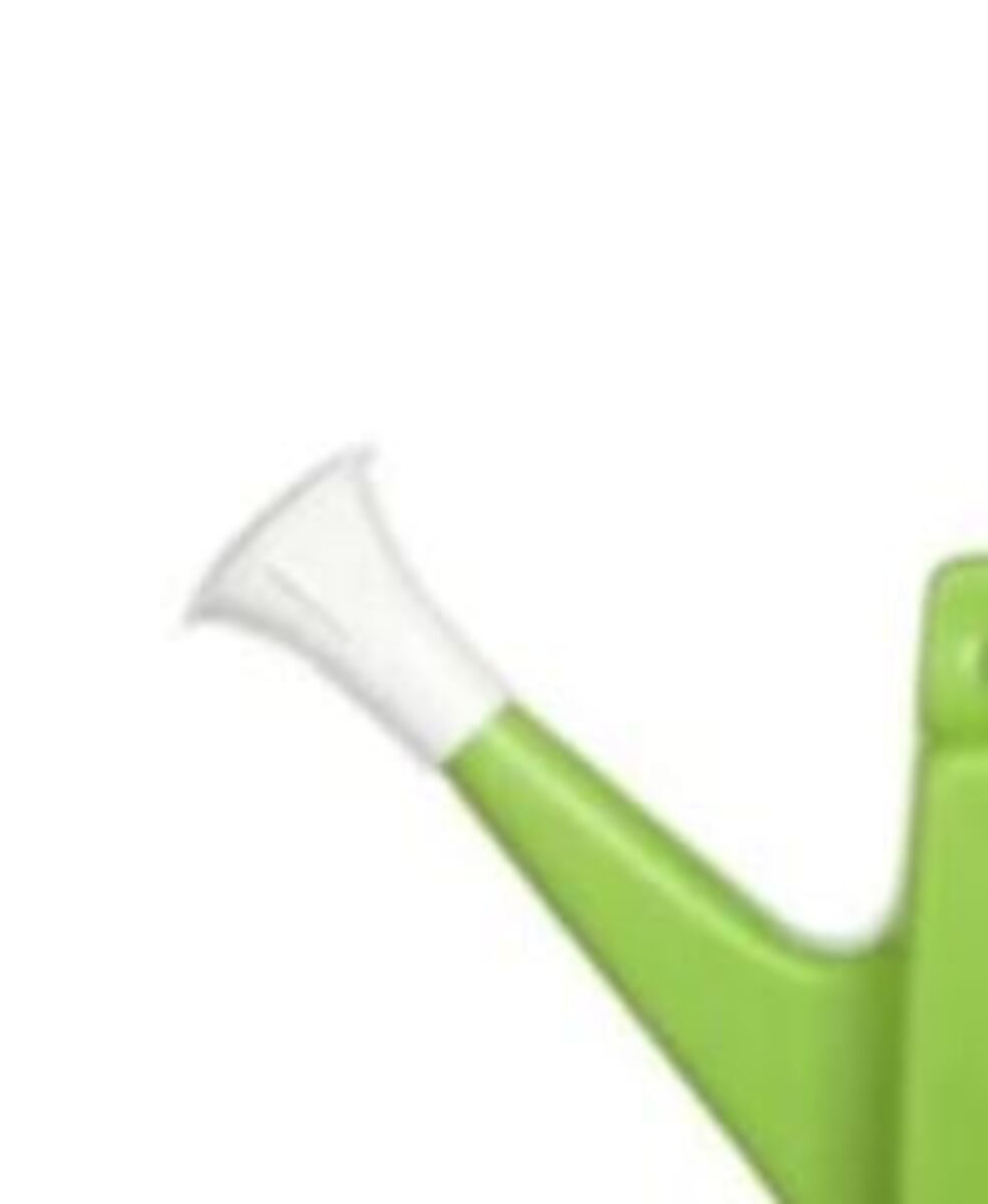 Yates Watering Can Replacement Rose - White