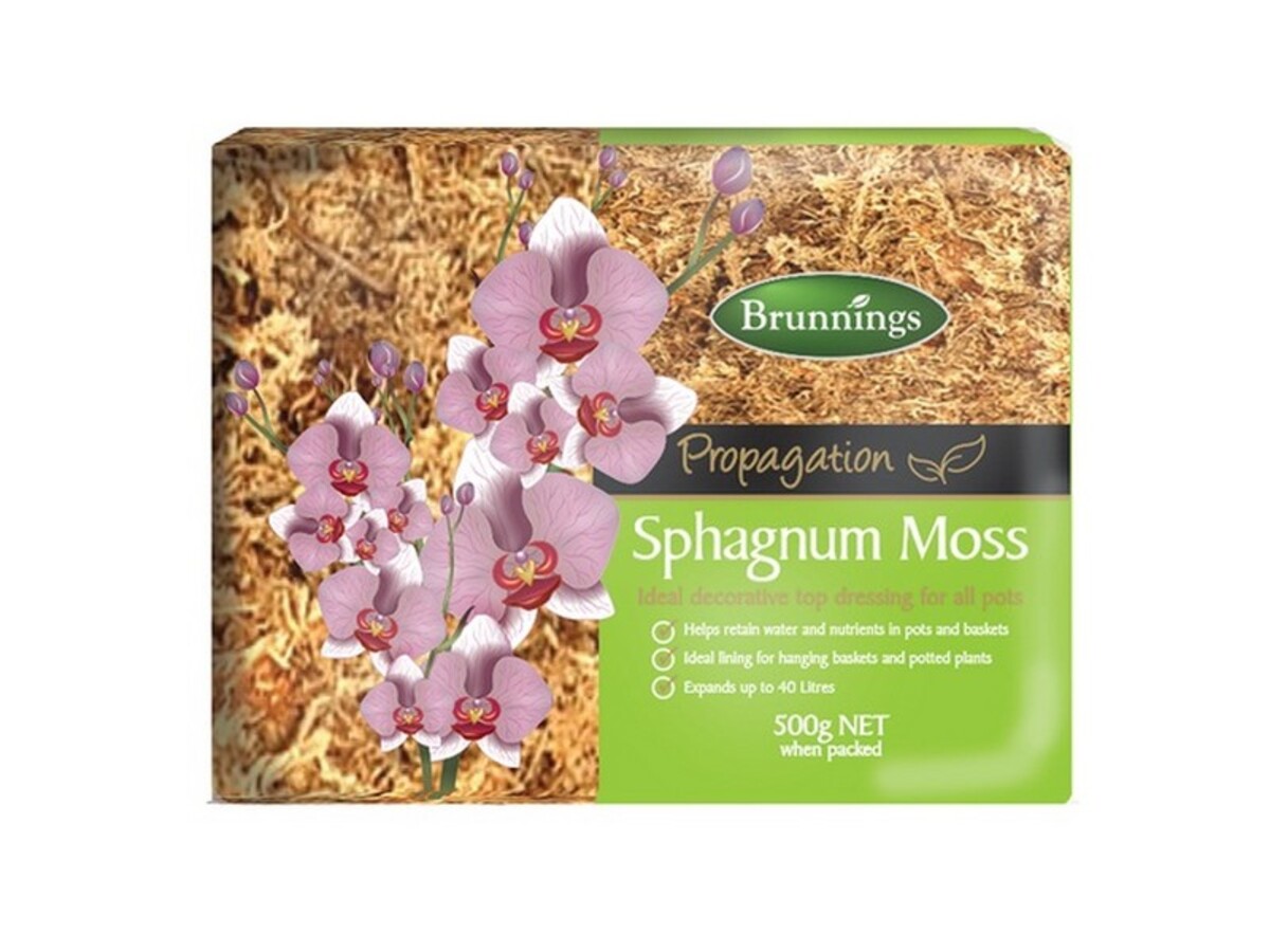 Brunnings Sphagnum Moss 500g