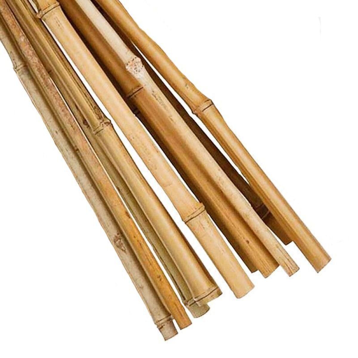 Gardman Bamboo Cane 1.8m - Pack of 10
