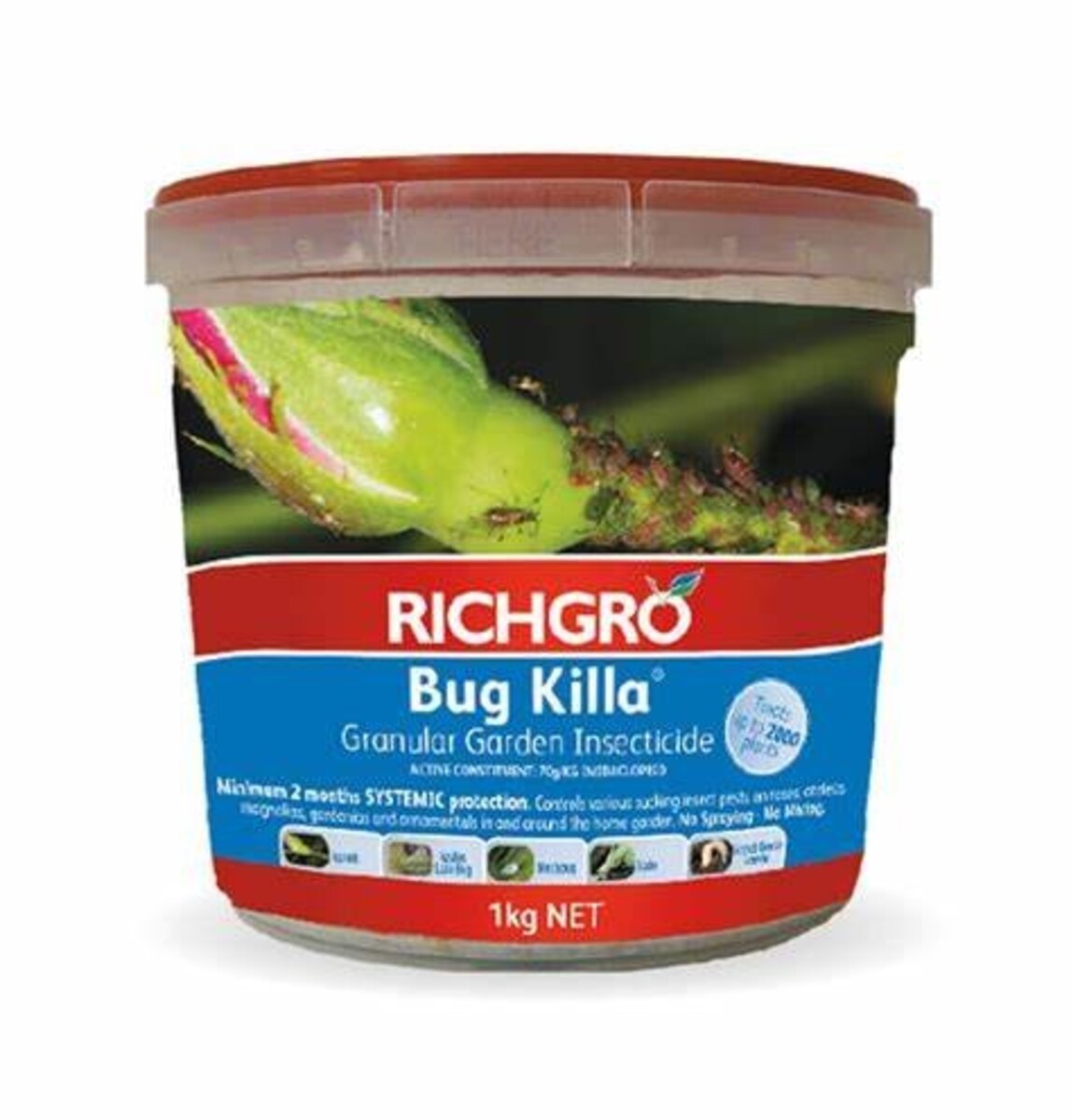 Richgro Bug Killa 1kg