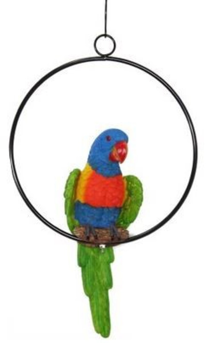 MM Realistic Parrot in Ring 20cm