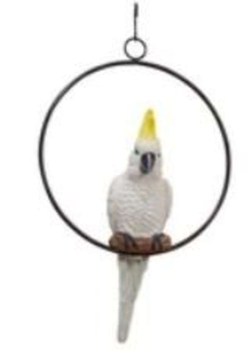 MM Assorted Cockatoo in Ring 26cm