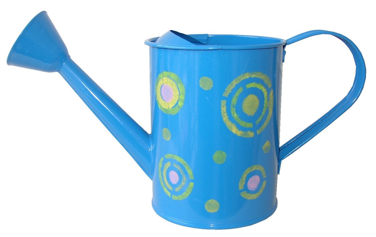 Ryset Kids Metal Watering Can - Blue