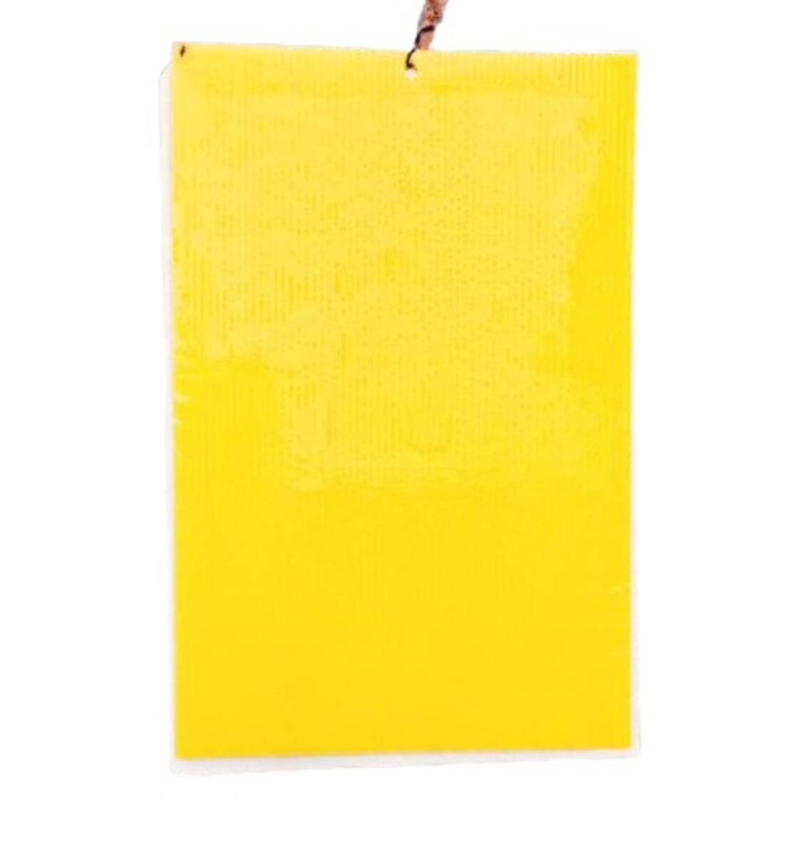 Ryset Yellow Sticky Traps 5pk