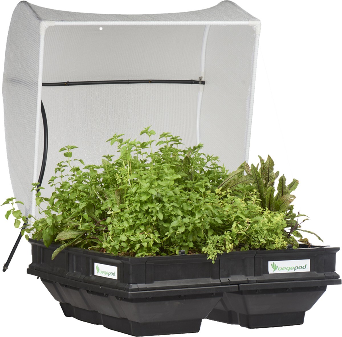 Vegepod Garden Bed With Cover - Medium