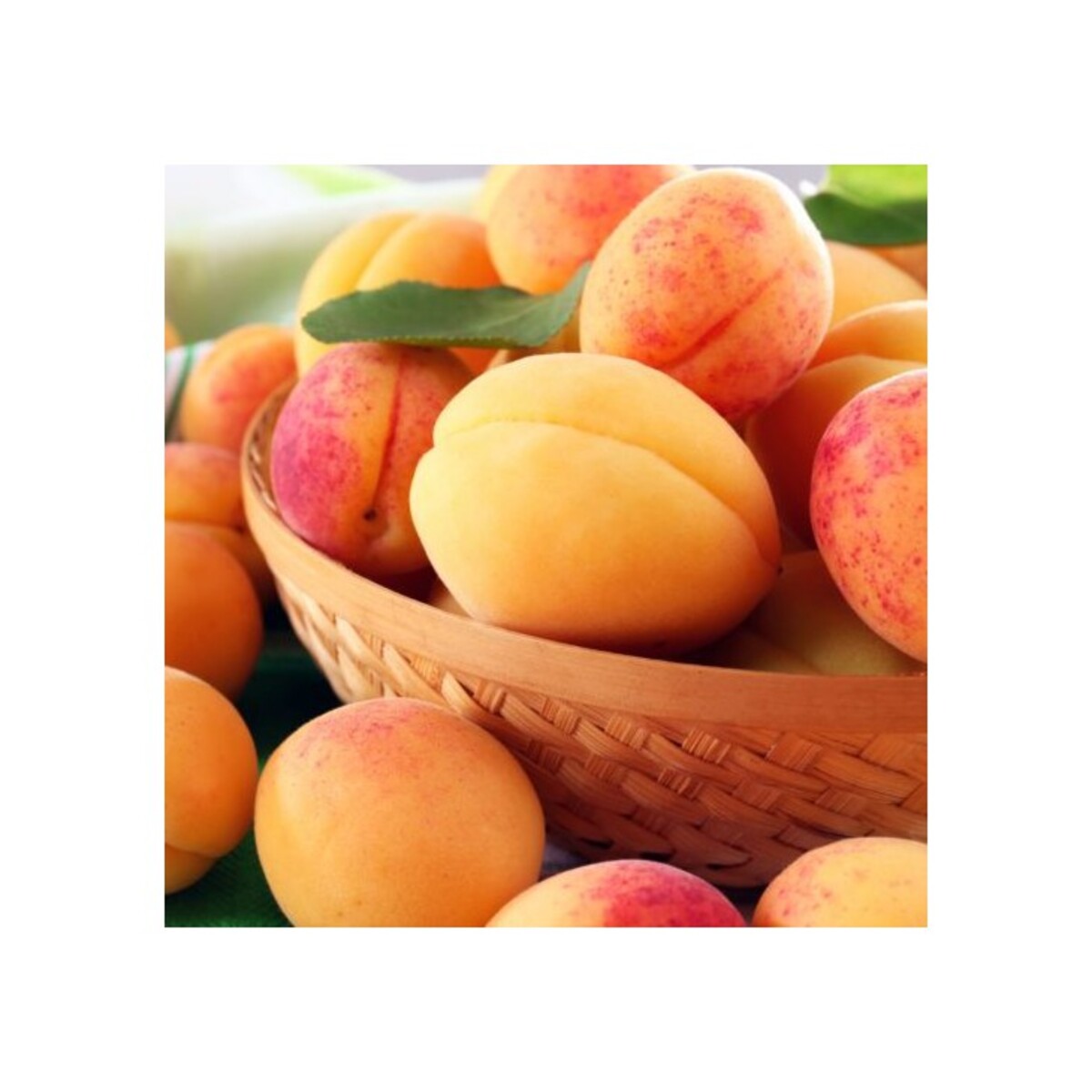 Apricot - Moorpark - 230mm Bagged*