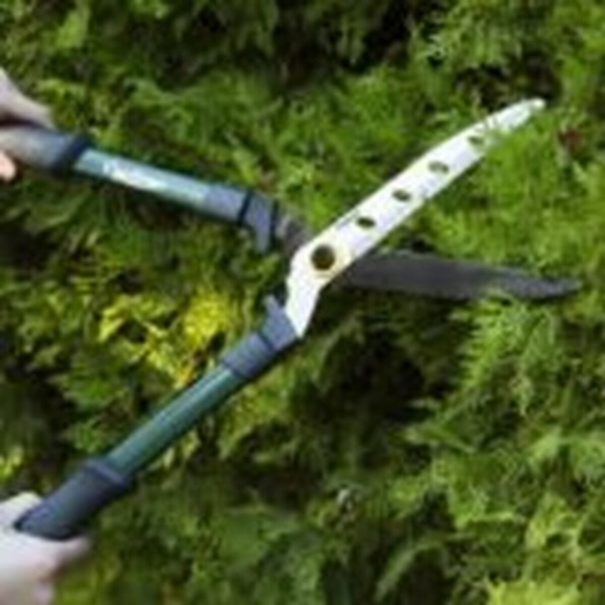 Cyclone Hedge Shears