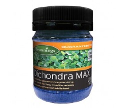 Brunnings Dichondra Max Lawn Seed 200g