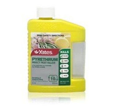 Yates Pyrethrum Insect Pest Concentrate 200ml
