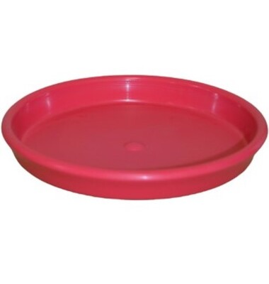 GCP Cottage Saucer - Watermelon - 200mm