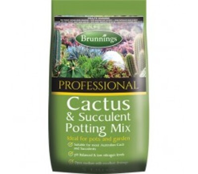 Brunnings Cactus & Succulent Mix 5L