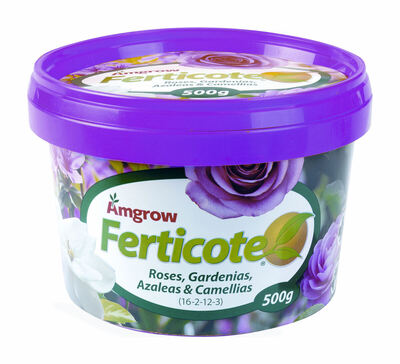 Amgrow Ferticote Rose Gardenia Azalea Fertiliser 500g